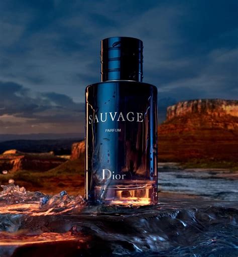 dior sauvage eau de parfum cena|how expensive is Dior Sauvage.